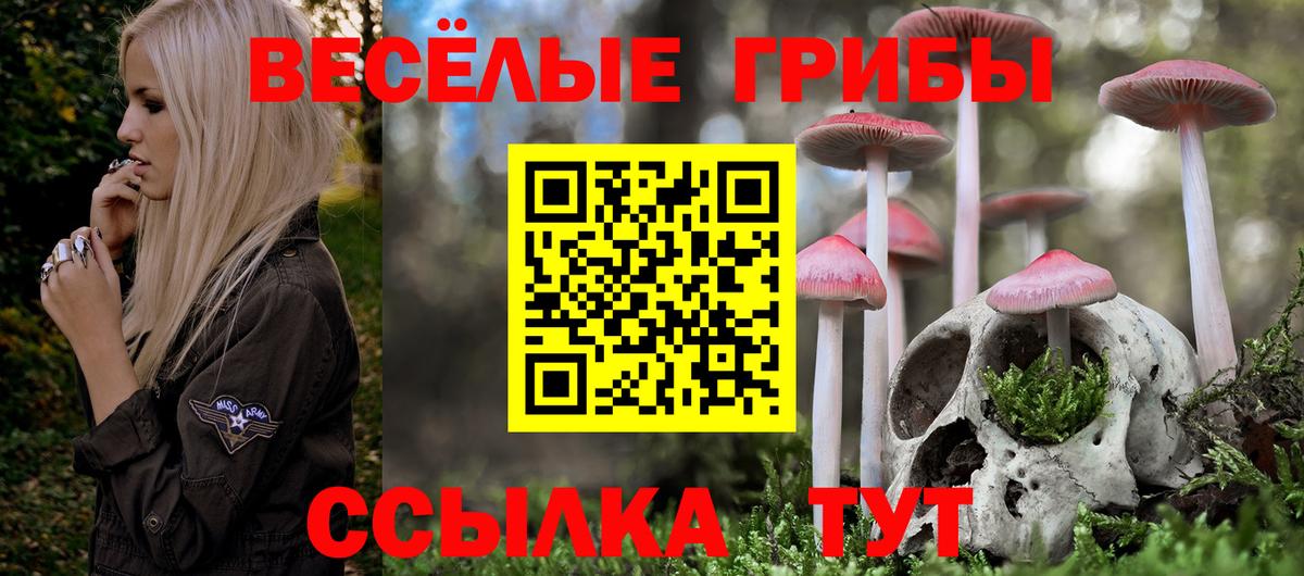 Псилоцибиновые грибы прущие грибы  Псилоцибиновые грибы MAGIC MUSHROOMS  Вход с VPN  Малгобек 